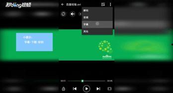 进口播放器大全爆料视频,热门型号深度解析与评测